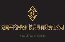 湖南平路網(wǎng)絡(luò)科技發(fā)展有限公司網(wǎng)站正式上線！
