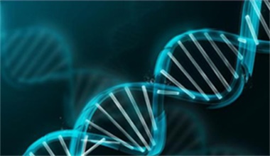 長沙艾碧維生物科技有限公司