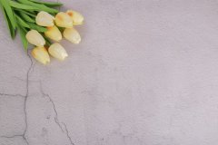 湘潭做網(wǎng)站的基本費(fèi)用