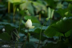 湘潭網(wǎng)站專(zhuān)業(yè)建設(shè)一定要注意的問(wèn)題
