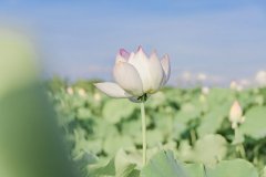 岳麓區(qū)網(wǎng)站制作公司有什么辦法可以篩選出專業(yè)