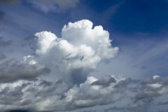 岳麓區(qū)企業(yè)網(wǎng)站開發(fā)誤區(qū)
