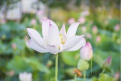 岳麓區(qū)網(wǎng)站設(shè)計公司該如何選擇？