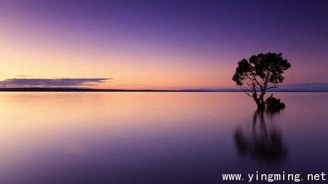 岳麓區(qū)網(wǎng)站設(shè)計制作如何提高設(shè)計感？