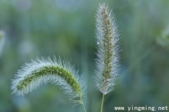 岳麓區(qū)的網(wǎng)站建設(shè)3個(gè)步驟