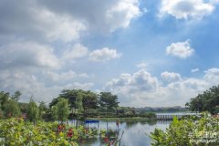 株洲網站建設公司的流程