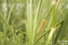 株洲企業(yè)網站開發(fā)怎么選擇