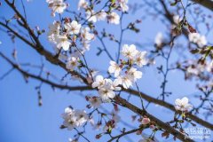 株洲網絡建站如何搭建？