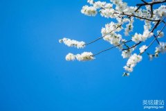 株洲網站建設服務