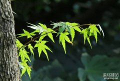 株洲建設網站的