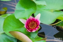 株洲建立網(wǎng)站