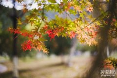 株洲建立網(wǎng)站怎么建