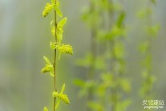 株洲網(wǎng)站設(shè)計(jì)制作的類(lèi)型
