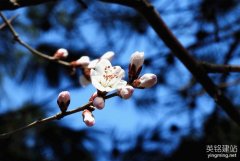 株洲做網(wǎng)站企業(yè)都有哪些？