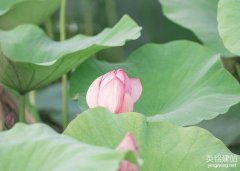 株洲建設(shè)網(wǎng)站制作