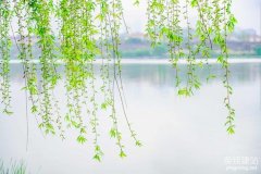 株洲公司網站設計原則