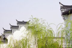 株洲網站設計