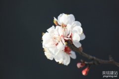 望城網(wǎng)站設(shè)計