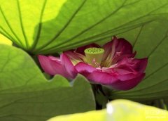 望城網(wǎng)站建設(shè)公司考察哪幾點？
