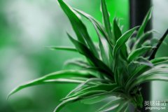 制作企業網站