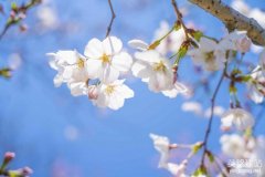 如何建立企業網站