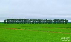 長沙建網站公司
