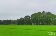 長沙建網站