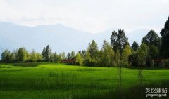 長沙專業(yè)做網(wǎng)站怎么做更好？（長沙專業(yè)做網(wǎng)站的4個(gè)要點(diǎn)）