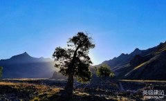 長沙做網(wǎng)站價(jià)格要多少錢？（影響長沙做網(wǎng)站價(jià)格的4個(gè)方面）