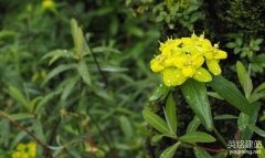 長沙網站開發需要多少錢？（長沙網站開發價格的4個類型）