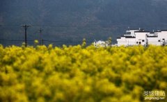 長沙建網站多少錢？（影響長沙建網站價格的4個因素）