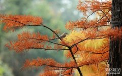 長沙企業網站設計要怎么做？（長沙企業網站設計的5個注意事項）