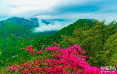 湖南企業(yè)網(wǎng)站建設(shè)有哪些要注意？（湖南企業(yè)網(wǎng)站建設(shè)的6個要點）