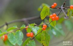 瀏陽網(wǎng)站建設怎么做？（瀏陽網(wǎng)站建設的5個步驟）