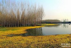 長沙建網站公司怎么選擇？（比較長沙建網站公司的3個要點）