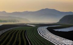 長沙網頁建設要怎么做？（長沙網頁建設的3個要求）