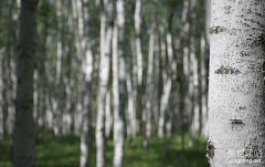 長沙網站改版要注意什么？（長沙網站改版的3個要點）