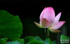 湘潭網頁設計的要素是什么？（湘潭網頁設計的3個要素）