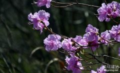 長沙做網站要注意哪些細節？（長沙做網站的5個注意事項）
