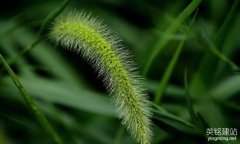 瀏陽網(wǎng)站制作的流程是什么？（瀏陽設計公司網(wǎng)站的8個步驟）
