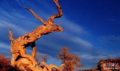 湘潭動態(tài)網站開發(fā)要怎么做？（湘潭網站開發(fā)的6個詳細步驟）