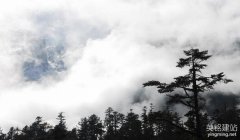 長沙企業(yè)網(wǎng)站設計有什么原則？（長沙企業(yè)網(wǎng)站設計的5個原則）