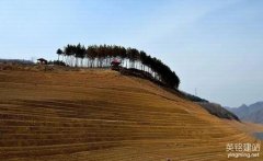 湖南建網站公司有那些？（湖南建網站公司的5個服務項目）