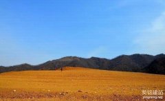 長(zhǎng)沙網(wǎng)站開(kāi)發(fā)公司有哪些服務(wù)項(xiàng)目？（長(zhǎng)沙網(wǎng)站開(kāi)發(fā)公司的4個(gè)服務(wù)重點(diǎn)）