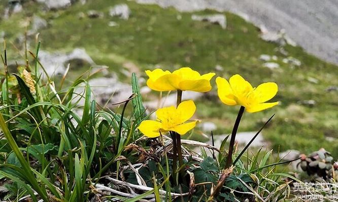 望城網站公司哪家比較好？（望城網站公司的4個選擇要點）