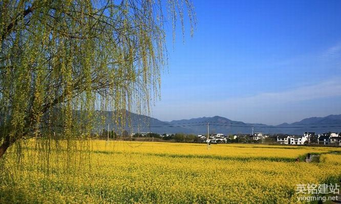 長沙高端網站設計公司要怎么選？（長沙高端網站設計公司的4個能力要求）