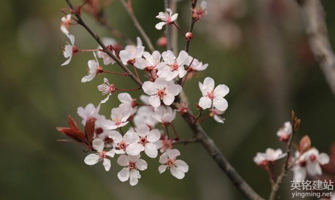 長沙品牌網(wǎng)站制作有哪些要求？（長沙品牌網(wǎng)站制作的4個基本要求）