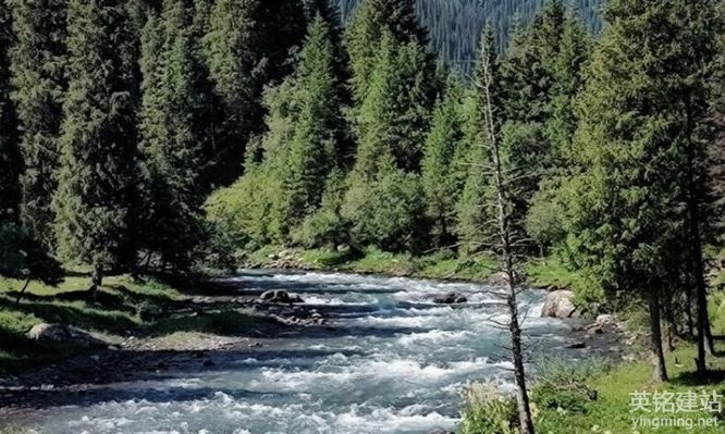 湖南山連山技術服務有限公司網(wǎng)站正式上線